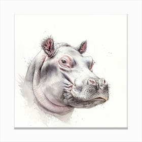 Hippo 6 Canvas Print