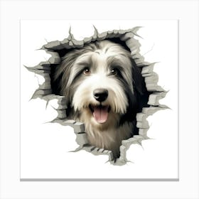 Dog Through A Hole Canvas Print