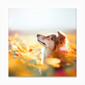 Dog In The Field 1 Canvas Print