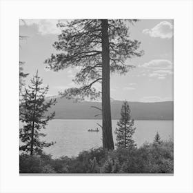 Douglas County, Oregon, Diamond Lake Resort Area By Russell Lee Canvas Print