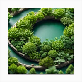 Succulents In A Circle Canvas Print