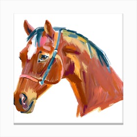 Quarter Horse 03 Canvas Print