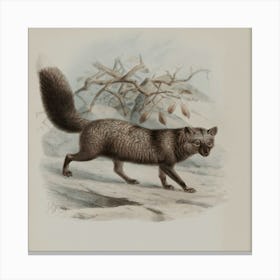 Foxes 1 Canvas Print