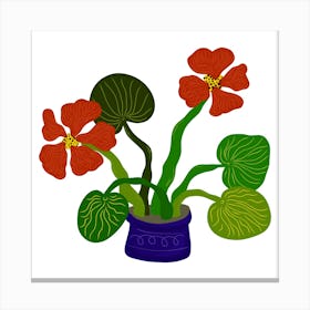 Red Flowers In A Pot Canvas Print