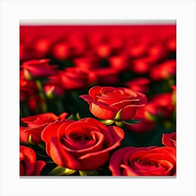 Red Roses Canvas Print