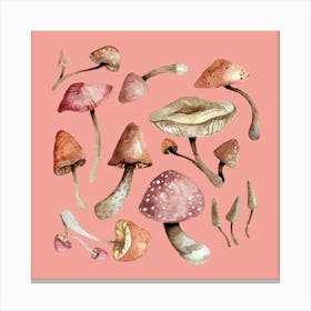 Mushrooms Soft Pink Canvas Print