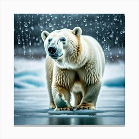 Polar bear Canvas Print