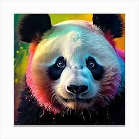 Panda Bear 2 Canvas Print