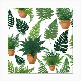 Default Potten Ferns Art 0 Canvas Print