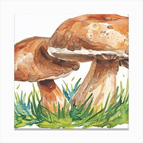 Two Mushrooms In The Grass Canvas Print