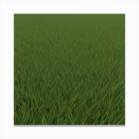 Grass Field 22 Canvas Print