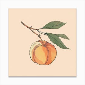 Peach Canvas Print