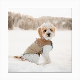 Dog In The Snow Canvas Print