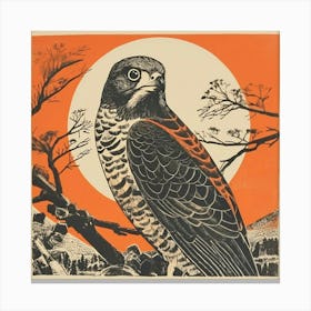 Retro Bird Lithograph Eurasian Sparrowhawk 4 Canvas Print