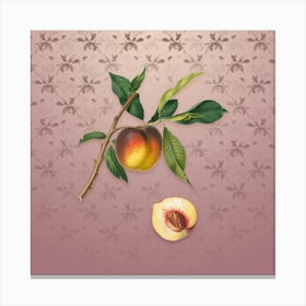 Vintage Peach Botanical on Dusty Pink Pattern n.0033 Canvas Print