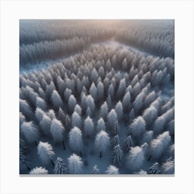 Winter Forest With Visible Horizon And Stars From Above Drone View Perfect Composition Beautiful (3) Canvas Print