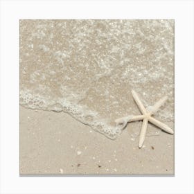 Starfish On The Beach Lienzo