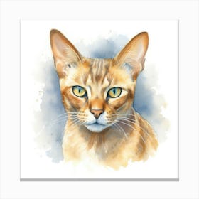 Zambian Cat Portrait Canvas Print