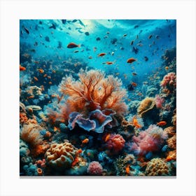 Coral Reef 1 Canvas Print