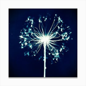 Dandelion Canvas Print