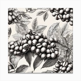 Coffee Beans 208 Canvas Print