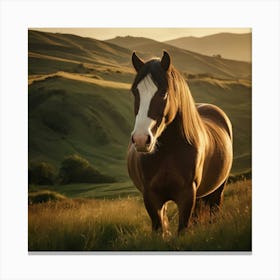 Horse In The Grass Canvas Print