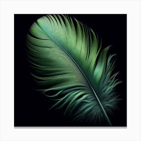 Green Feather Canvas Print