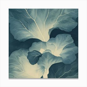 Asian Cabbage Canvas Print