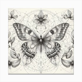 Victorian Diagram Butterfly Illustration III Canvas Print