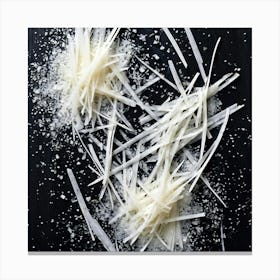 Shredded Parmesan Canvas Print