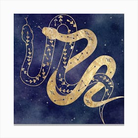 Snake Art Print (6) Canvas Print