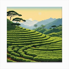 Tea Plantation Painting (3) Canvas Print