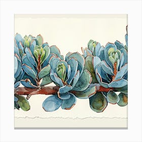 Eucalyptus 2 Canvas Print