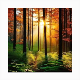 Ferns In The Forest 1 Canvas Print