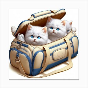 White Kittens In A Bag Canvas Print