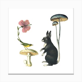 Rabbit Rabbit Square Canvas Print