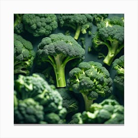 Broccoli On A Dark Background Canvas Print
