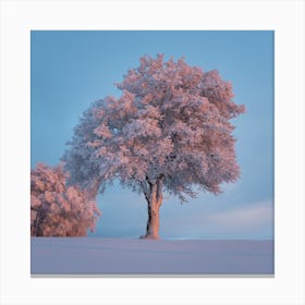 Frosty Trees Canvas Print