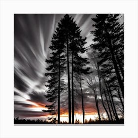 Sunset In The Forest 4 Canvas Print