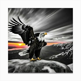 Bald Eagle 2 Canvas Print