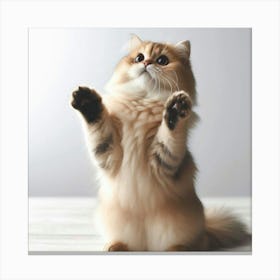 Cat With Paws Up Canvas Print