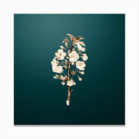Gold Botanical Pear Tree Flowers on Dark Teal Canvas Print
