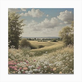 Field Of Daisies Canvas Print