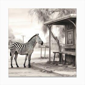 Zebra At The Station Canvas Print