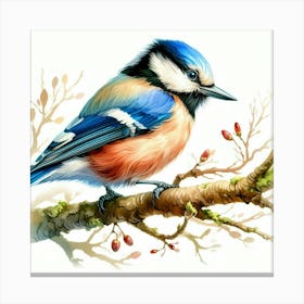 Blue Bird On Branch Canvas Print