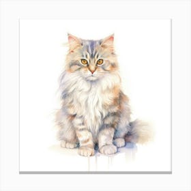 Brazilian Shorthair Longhair Cat Portrait Canvas Print
