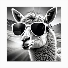 Llama In Sunglasses 6 Canvas Print