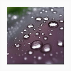 Raindrops Canvas Print