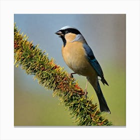 Tawny Tit 14 Canvas Print