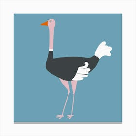 Ostrich Canvas Print